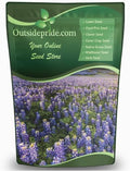 Outsidepride Texas Bluebonnet Seeds - 1 lb. Annual Lupinus Texensis, Heirloom Quality, Drought-Tolerant Wildflower Seeds w/Blue Blooms for Vibrant Spring Displays, Landscape, & Attracts Pollinators by Outsidepride