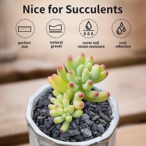 FANTIAN 5lbs Black Pea Gravel, 3/8 Inch Decorative Pebbles for Plants - Image 6