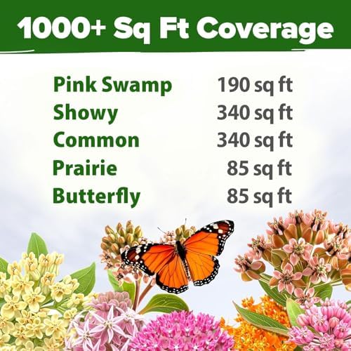 HOME GROWN Milkweed Seeds, 5 Variety Mix, 500+ Seeds, Asclepias syriaca - Image 4