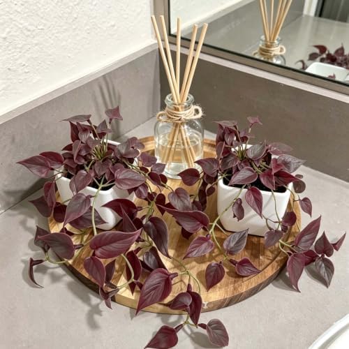 2 Pack Artificial Red Satin Pothos, Faux Trailing Vine Potted Plans - Image 4