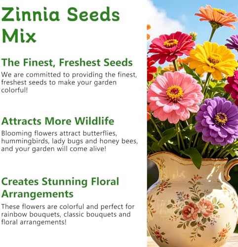 LUOJIBIE Zinnia Seeds for 2027, 6,000+ California Giant Zinnia Seeds Bulk, Double Dahlia Zinnia Mixed Color Seeds, Flower Seeds for Planting Outdoor Garden, Non-GMO Heirloom, Easy to Grow - Image 4