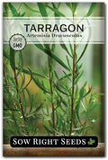 Sow Right Seeds - Tarragon Seed for Planting Your Perennial Herb Garden by SowRightSeeds