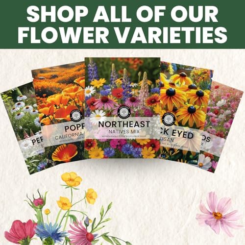 Northeast Natives Mix – 16,000 Seeds for Planting – 2026 Season – 1 Ounce Pouch - Image 6