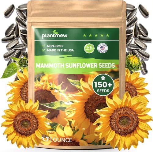 Fall Flower Seeds, 150+ Giant Mammoth Sunflower Seeds for Planting, Open Pollinated Ornamental, Easy to Grow for Garden, Outdoor Planting & Landscaping by PLANTMEW