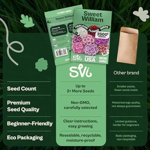 SVI 2500 Mix Sweet William Seeds (Dianthus barbatus) – Fragrant Sweet William Seed Packets Bulk – Heirloom Seed Mix, Non-GMO Perennial Flower Seeds Outdoor Flower Garden Beds & Indoor Garden - Image 6