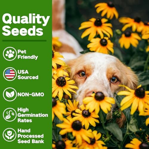 Lush&Dew Pet-Friendly Heirloom Seed Bank, Gardening Gifts for Women Men - Image 4