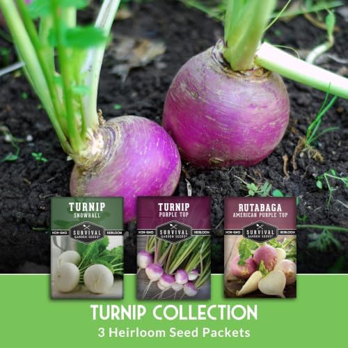Turnip & Rutabaga Seeds Collection for Planting - Image 3