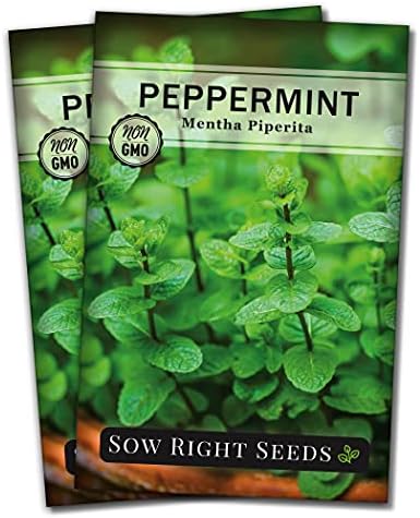 Sow Right Seeds - Peppermint Seed for Planting Perennial Herb Garden 2pk by SowRightSeeds