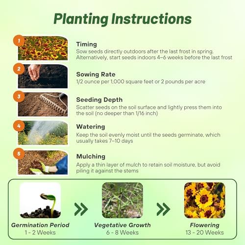 Outsidepride Plains Coreopsis Seeds - 5000 Pcs. Annual, Drought & Humidity Tolerant, Flower Seeds for Planting Vibrant Bicolored Blooms, Ideal for Xeriscaping and Low Maintenance Gardens (Pack of 2) - Image 5