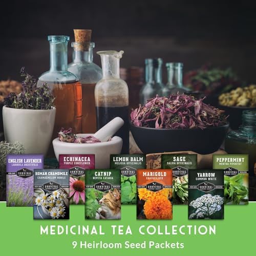 Medicinal Tea Herb Seeds for Planting | 9 Varieties - Survival Garden Seeds - Image 2