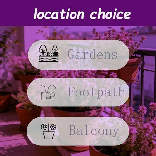 Magic Creeping Thyme Seeds for Planting, 15000+ Thymus Seeds, Perennial Ground Cover Plants, Non-GMO Heirloom Thymus Serpyllum Seed for Home Garden Outdoor - Image 6