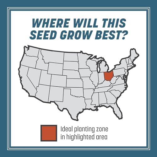 Pennington Smart Seed Ohio State Grass Seeds for Lawn, 7 lb - Image 6