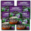 Comfrey Seeds - Symphytum Officinale - Perennial Medicinal Herb (5 Packs) by SurvivalGardenSeeds