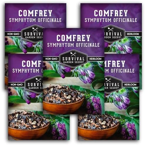 Comfrey Seeds - Symphytum Officinale - Perennial Medicinal Herb (5 Packs) by SurvivalGardenSeeds