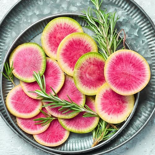 Watermelon Radish Seeds for Planting - Heirloom Non-GMO - Image 2