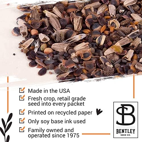 BENTLEY SEED CO. Oh Baby Flower Seeds Packets - Girl/Boy Baby Shower Favors - Pre-Filled, 25 Wildflower Seed Packs for Favor - Eco-Friendly Gift & Babys Guest Giveaways - Non-GMO Seeds - Pink - Image 6