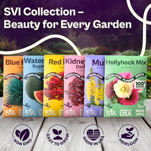 SVI 900 Bouquet Dill Seeds (Anethum graveolens) – Heirloom Dill Seed Packets, Aromatic Leaves & Herbs – Culinary Herb Seeds for Outdoor & Indoor Herb Garden, Raised Beds, Containers - Image 7