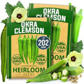 HOME GROWN Clemson Spineless Okra Seeds, 202+ Seeds, Abelmoschus esculentus by HOMEGROWN