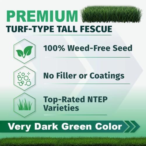Envy Turf Type Tall Fescue Grass Seed (10 lbs) - 100% Weed Free - Drought Tolerant - Disease Resistant - Image 4