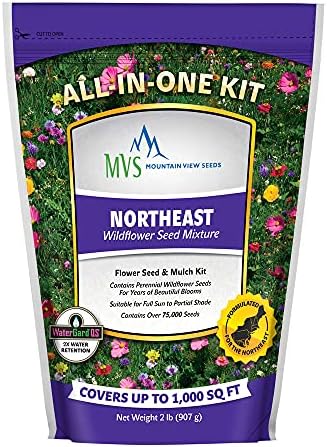 Mountain View Seeds 106490 Northeast Wildflower, 2-Pound by MountainViewSeeds
