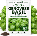 Garden Seeds for Planting, 200 Genovese Basil by CZGrain