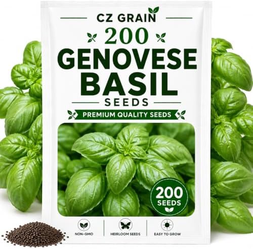 Garden Seeds for Planting, 200 Genovese Basil by CZGrain