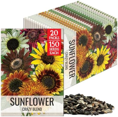 Seed Needs Crazy Sunflower Seeds to Plant Cut Flowers - 20 Packs by SeedNeeds