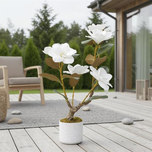 2FT Artificial Magnolia Tree with Pot, Faux Flower Tree with White Magnolia Blooms and Green Leaves, Potted Artificial Plant for Living Room, Bedroom, Office, Entryway, Store, Home Dector - Image 4