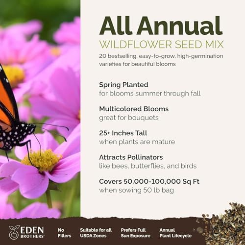 Eden Brothers All Annual Wildflower Mixed Seeds for Planting, 50 lb - Image 2