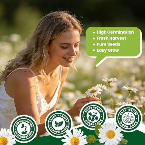 2300+ German Chamomile Seed Pack, Perennial Seeds for Planting, Herb Seed to Plant, Easy to Grow, High Germination, for Home Garden Indoor Outdoor - Image 4