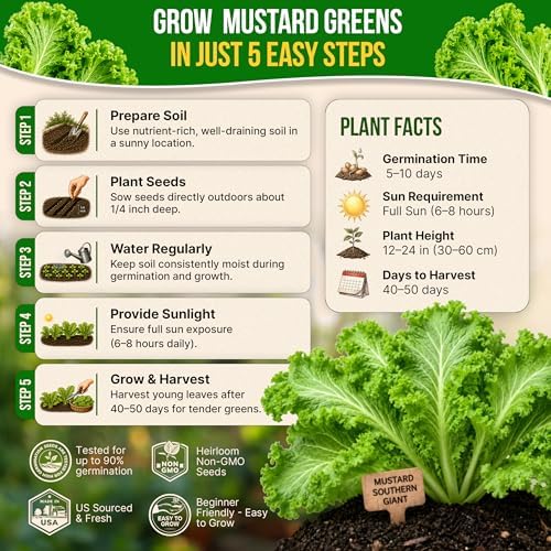 Mustard Southern Giant Seeds Pack 5 G - Over 3,950 Non-GMO Heirloom Mustard Seeds for Planting Greens in Individual Seed Packet, Greens Seeds for Planting Home Garden Indoor & Outdoor - Image 6