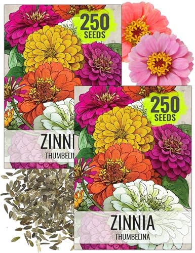 Seed Needs Thumbelina Zinnia Seeds to Plant Cut Flowers - 2 Packs by SeedNeeds