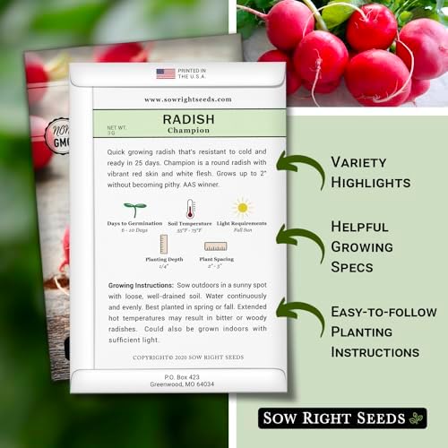 Sow Right Seeds- Champion Radish Seed for Planting Outdoor Red Radishes 2pk - Image 2