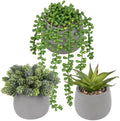 Artificial Succulents Plants in Grey Pots (Set of 3) - Faux String of Pearls, Aloe & Sedum Potted Plants Small Fake Plants Indoor for Home Office Table Desk Shelf Kitchen Bathroom Decor by Velener