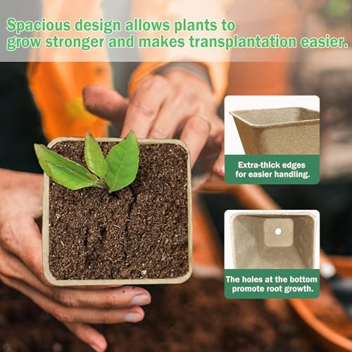 Peat Pots, 70 Pack 3.15 Inch Seed Starter Pots for Seedlings - Image 5