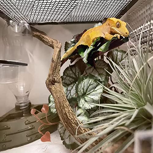 Woyrise Artificial Reptile Plants for Terrarium, Habitat Decor, Fake Plant - Image 2