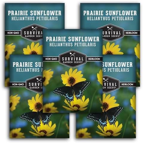 Native Prairie Sunflower Seeds (Helianthus petiolaris) (5 Pack) by SurvivalGardenSeeds