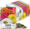 Seed Needs Lilliput Zinnia Seeds to Plant Cut Flowers - 20 Packs by SeedNeeds