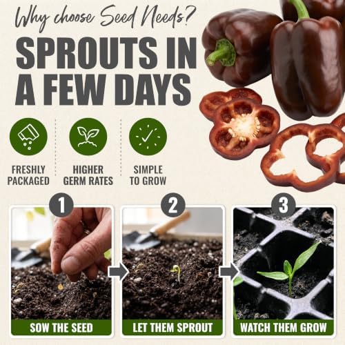 Seed Needs Sweet Chocolate Bell Pepper Seeds to Plant Vegetables - 10 Packs - Image 5