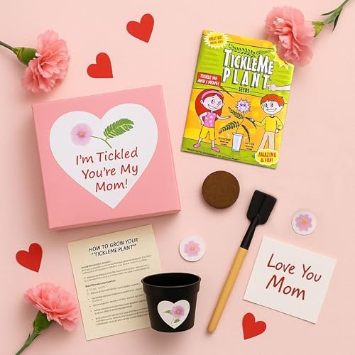 Birthday Gift for Mom – TickleMe Plant that Moves When Touched – Adult Plants Can Produce Pink Flowers – Unique Gift for Mom from Daughter, Son or Kids – Easy Indoor Grow Kit - Image 4