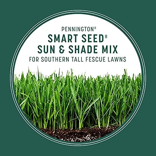 Pennington Smart Seed Sun & Shade Mix, South Tall Fescue Grass Seed, 20 lbs - Image 5