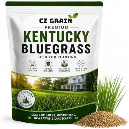 5 lb Kentucky Bluegrass Seed for Planting, Cool Season Lawn Grass by CZGrain