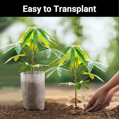 100PCS White Plant Nursery Bags Large, 7.8x10 inches Non-Woven Fabric Seedling Grow Bag, Seed Starting Pots Pouches for Planting Seedling Cutting Clones - Image 4