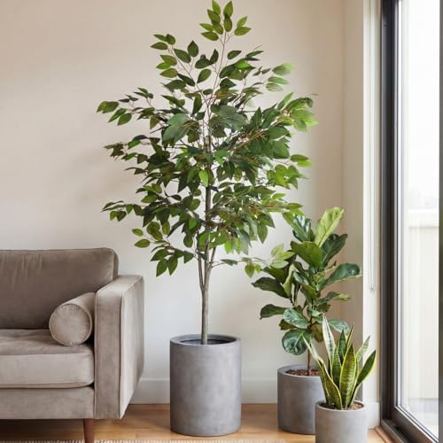 Daifunli 2 Pack Artificial Ficus Tree with Realistic Leaves Natural Trunk - Image 2