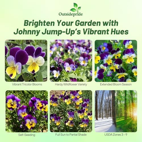 Outsidepride Johnny Jump Up Viola Wild Flower Seeds - 1/8 lb Easy-to-Grow, Compact & Hardy Perennial Seeds for Planting Outdoors, Ideal for Pollinators, Garden Beds, Containers, & Hanging Baskets - Image 2