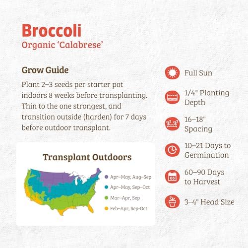 Back to The Roots 100% Organic Heirloom Seeds - Broccoli Value Pack (280mg) - Image 3