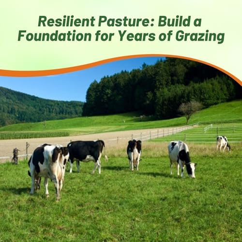 Outsidepride All-Purpose Pasture Seed Mix - 25 lb. Perennial, Drought-Tolerant & Fast-Growing, Pasture Seeds for Planting Abundant Forage Grass & Clover, Great for Grazing Livestock & Hay Production - Image 6