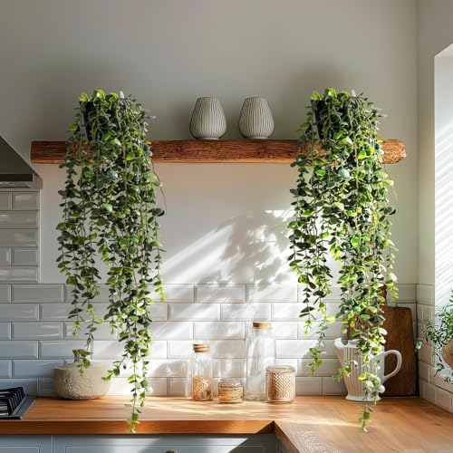 Artificial Hanging Plant 2 Pcs Faux Plant Ivy Vine Faux Eucalyptus Vines Fake Potted Greenery for Wall Living Room Home Shelf Office Bathroom Outdoor Indoor Decor (Type 7) by Yarmare