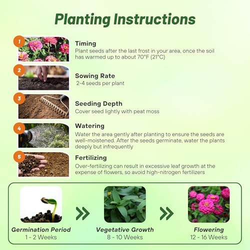 Outsidepride Luminosa Zinnia Seeds - 1000 Seeds Annual, Heat & Drought Tolerant Flower Seeds for Planting w/Vibrant Blooms for Pollinator Gardens & Floral Arrangements - Image 4