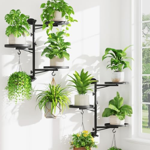 Wall Plant Holder Set of 2, Rotating Window Shelf, 3-Tier Black by iDavosicly